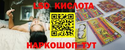 гидра Краснознаменск