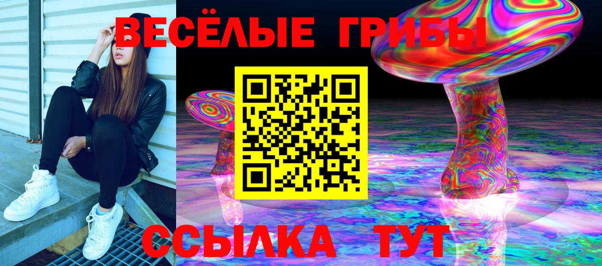 Ивантеевка  ГАШИШ  Гашиш  Вход с VPN  Каннабис  Cocaine  Меф   Меф 