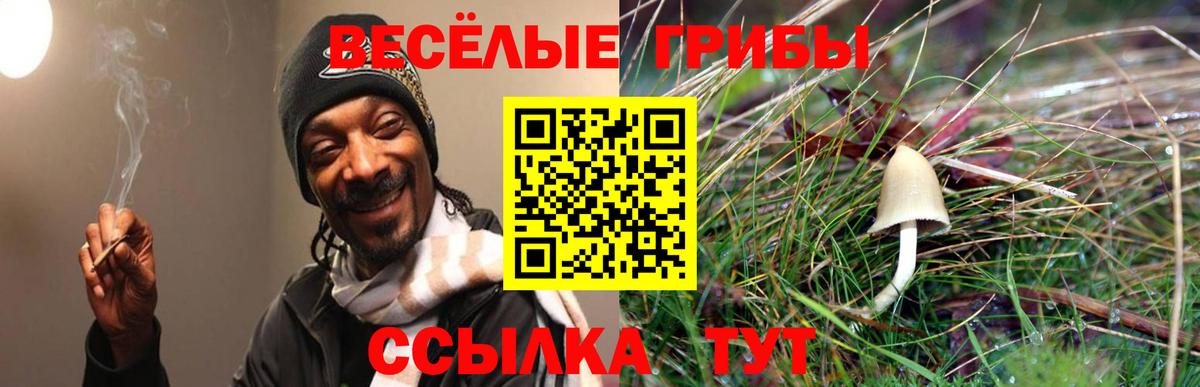 Псилоцибиновые грибы мицелий  Галлюциногенные грибы Psilocybine cubensis  Вход с VPN  закладка  Ивантеевка 